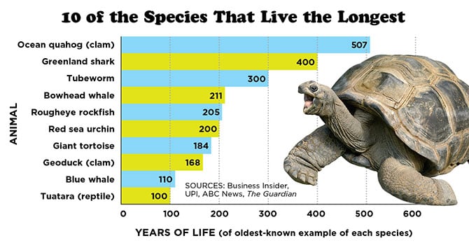 World's Longest-Living Animals