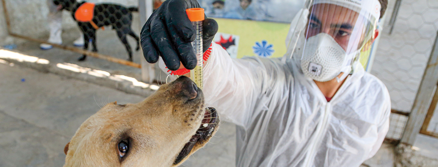 Scientist in protective gear holding test tube for dog to sniff