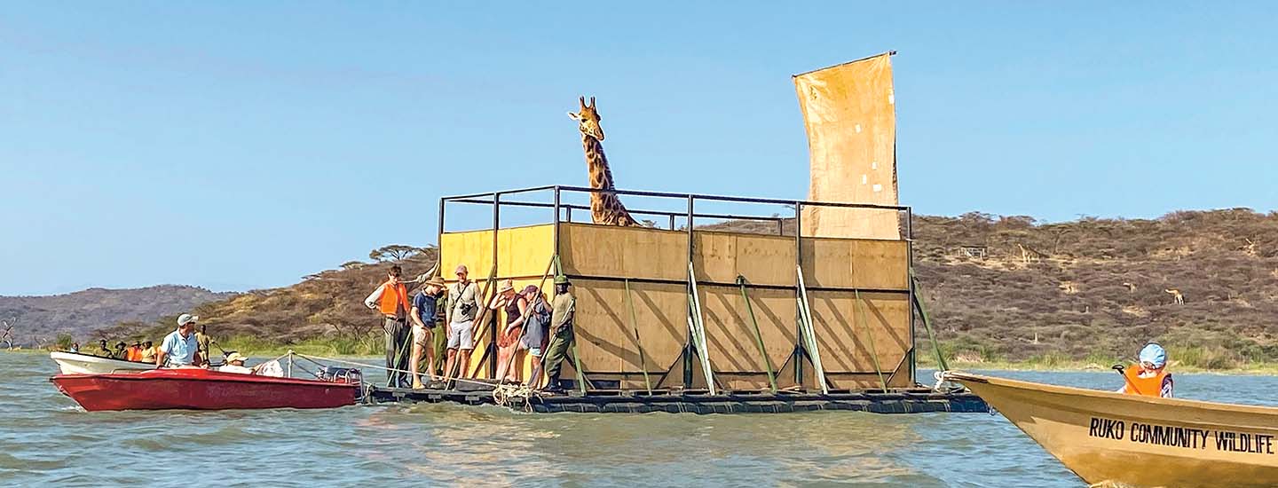 A small boat pulling a giraffe on a raft with the people traveling with it