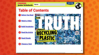 Plastic Recycling Facts — The truth about recycling plastic bags - RTS