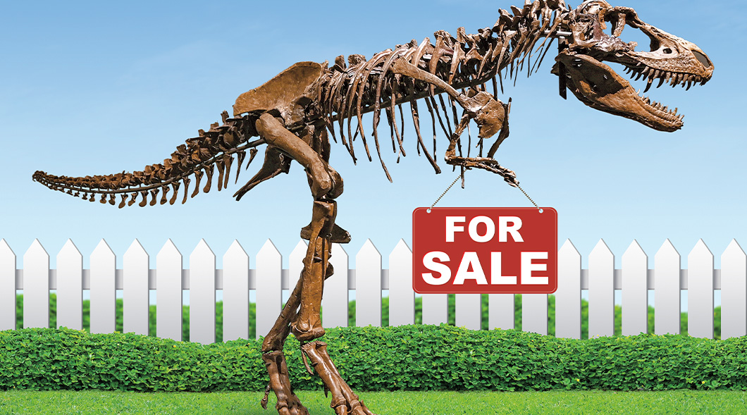 Should Fossils Be for Sale?