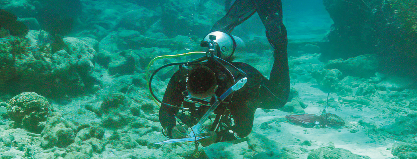Photo of a diver looking for artifacts while underwater