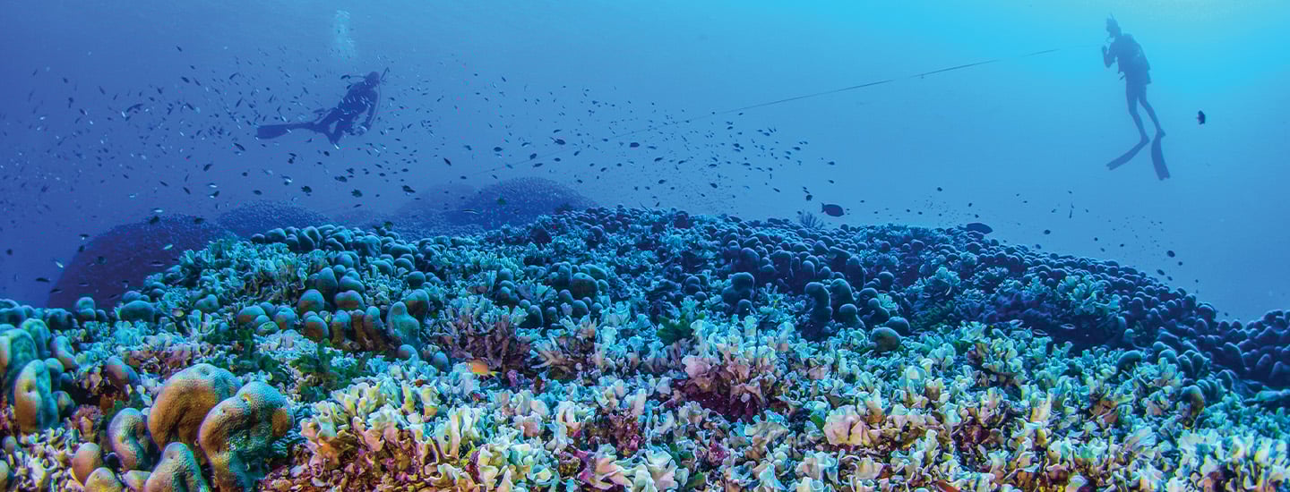 Image of two scuba divers underwater