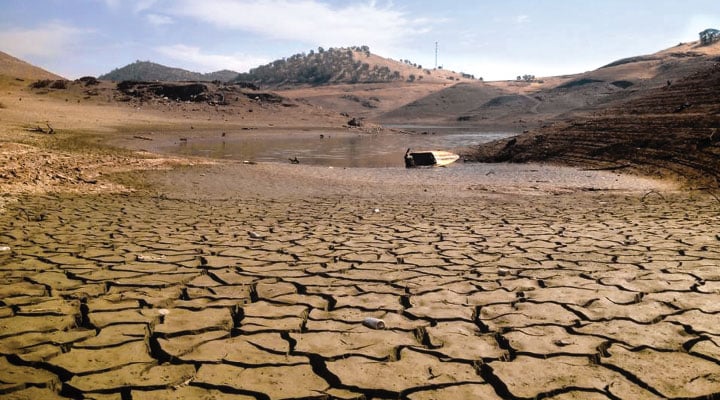 Paradise Parched