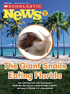 Printables Archive | Scholastic News Grade 2
